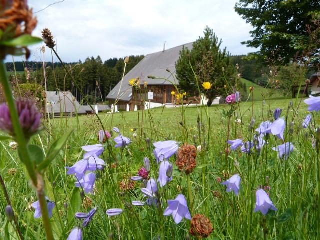 Thaelerhaeusle Hotel Furtwangen Exterior foto